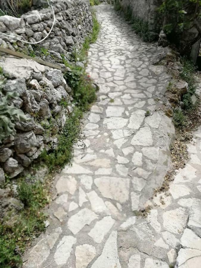 Lefki's House * Drymon