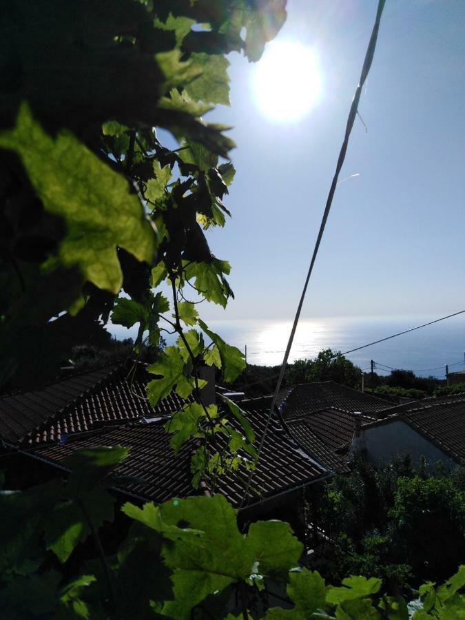 Lefki's House * Drymon