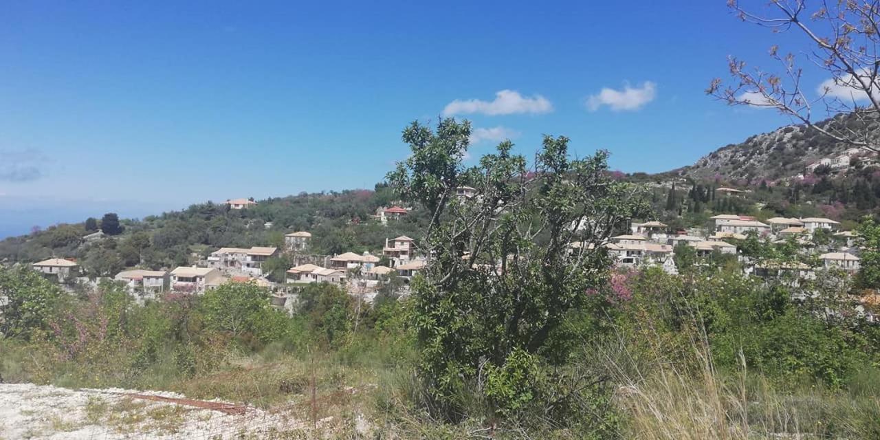Lefki's House Drymon