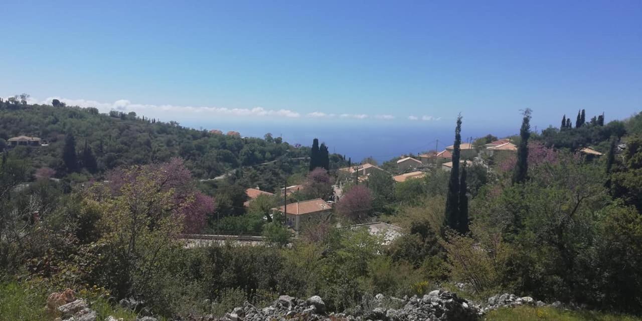 Lefki's House Drymon